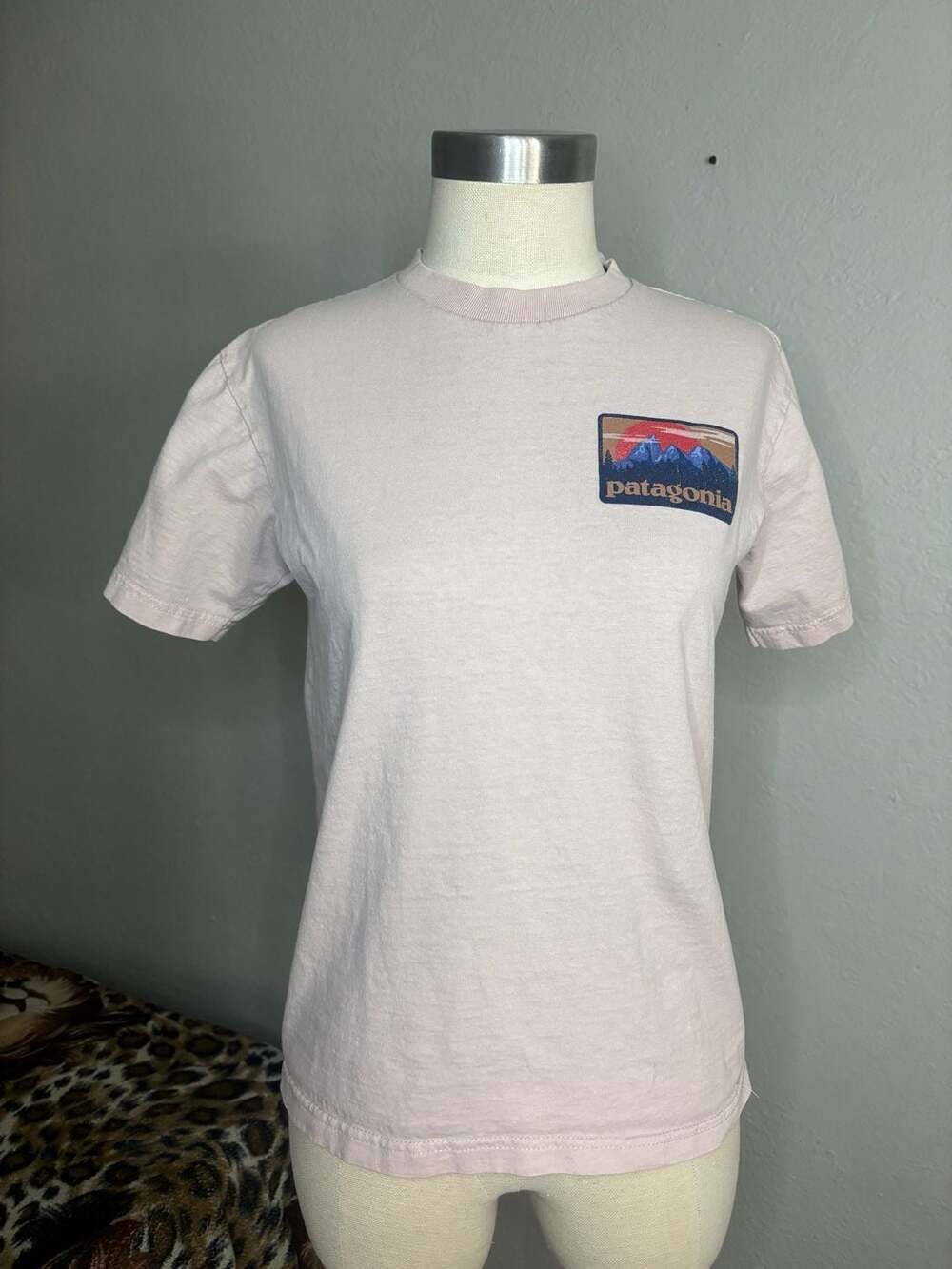 Patagonia '73 Skyline Logo T-Shirt